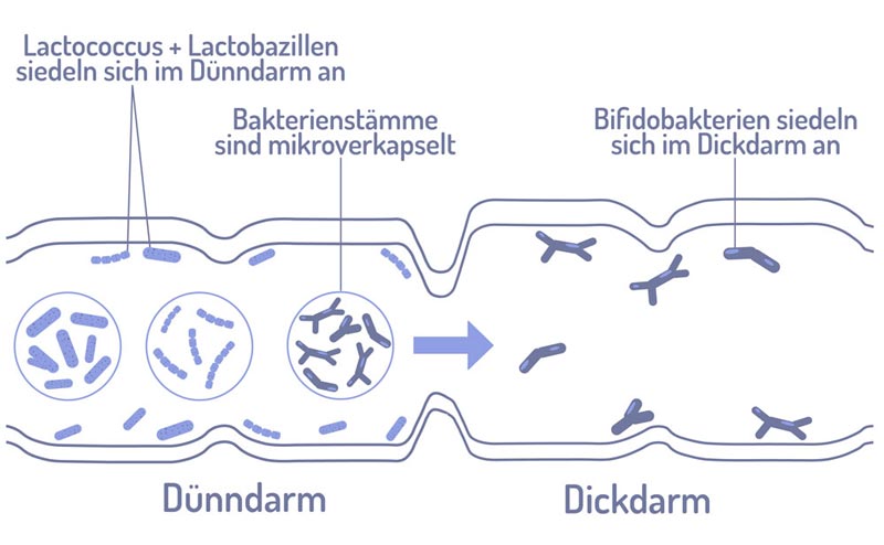 FürstenMED